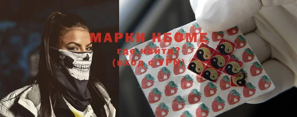 хмурый Алексин