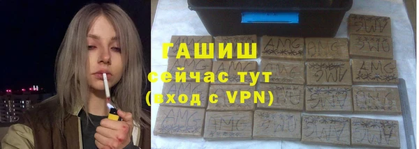 хмурый Алексин