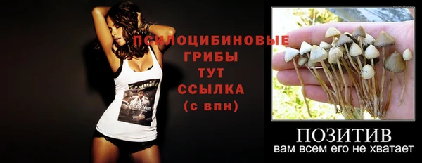 хмурый Алексеевка
