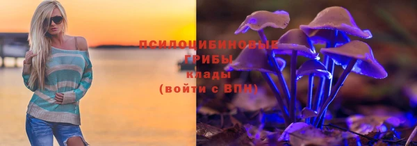 хмурый Алексин