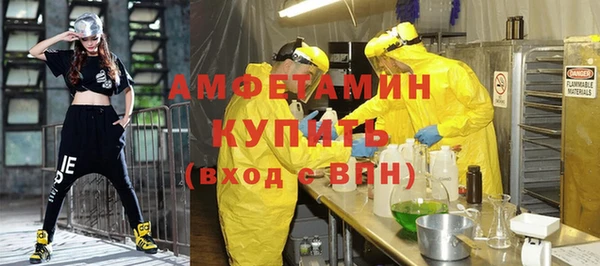 хмурый Алексин