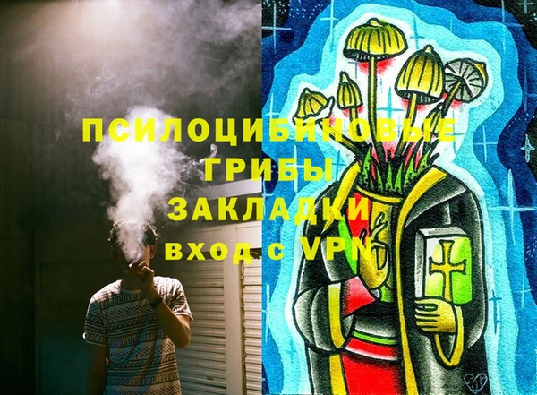 хмурый Алексин
