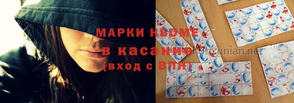 хмурый Алексин