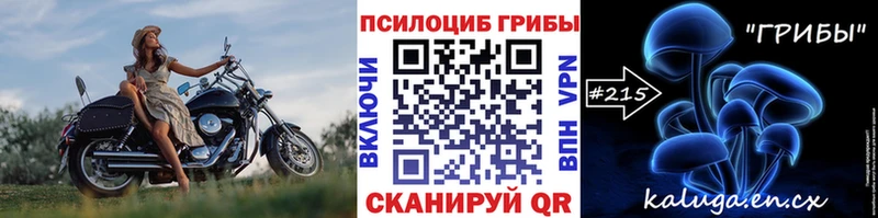 Галлюциногенные грибы Cubensis  закладка  Белебей 